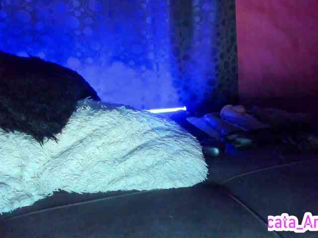cata-anngel webcam