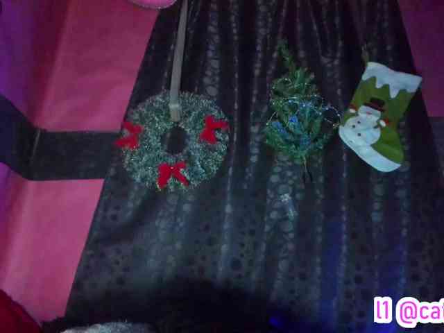 cata-anngel cata-anngel