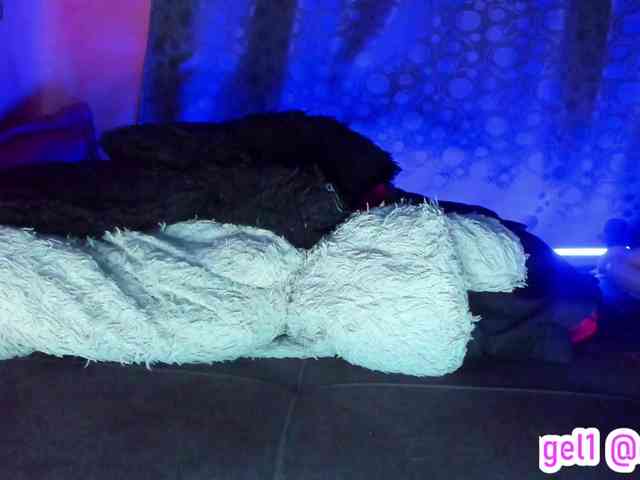 cata-anngel cata-anngel