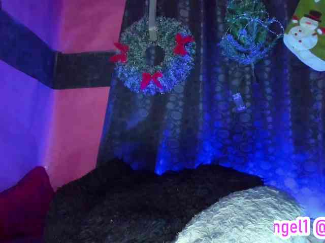 cata-anngel cata-anngel