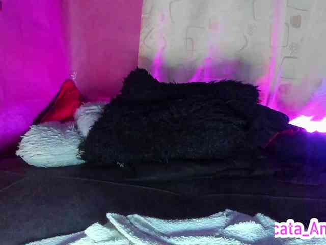 cata-anngel webcam