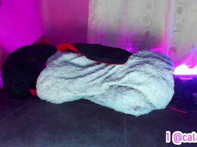 cata-anngel webcam
