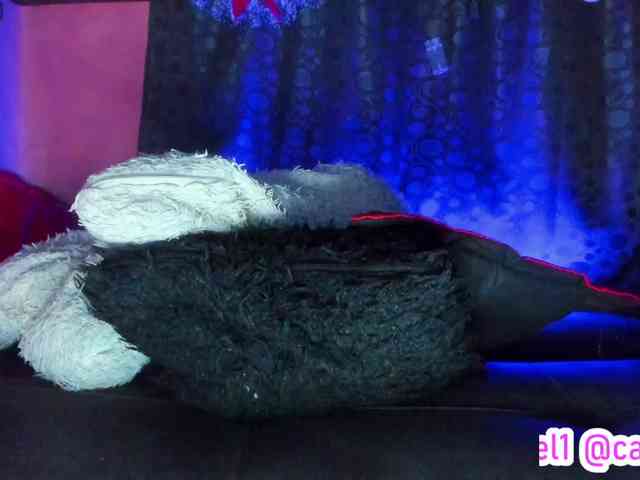 cata-anngel cata-anngel