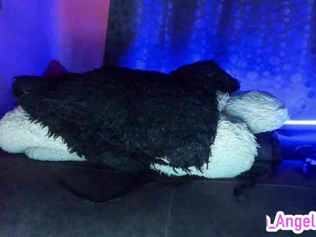 cata-anngel cata-anngel