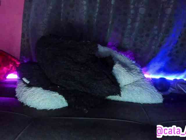 cata-anngel webcam