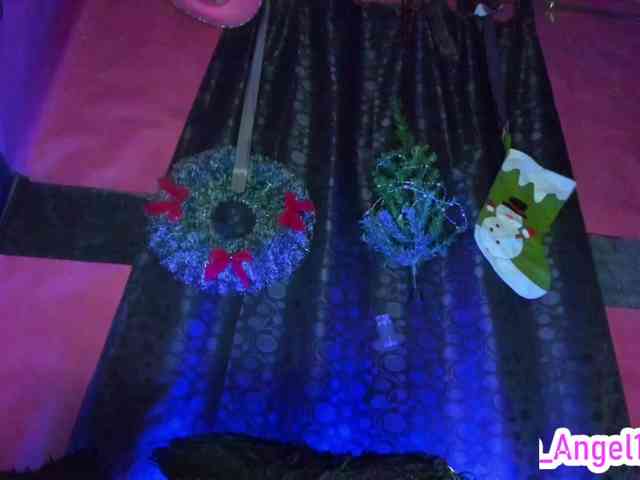 cata-anngel cata-anngel