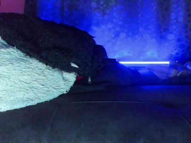 cata-anngel cata-anngel