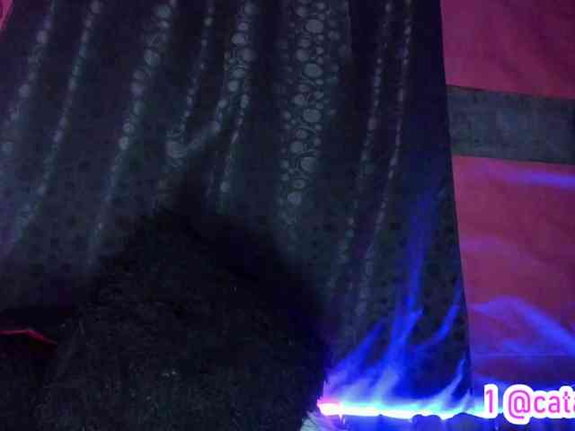 cata-anngel webcam