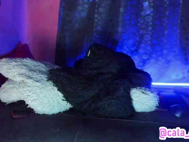 cata-anngel cata-anngel