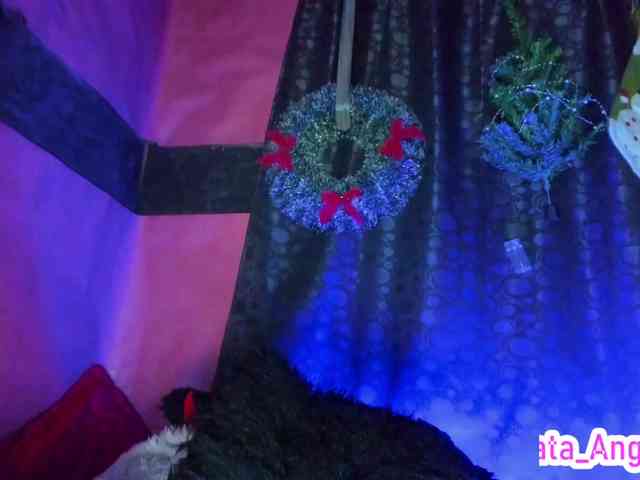 cata-anngel cata-anngel