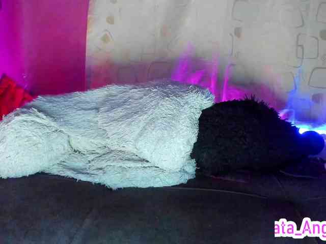 cata-anngel webcam