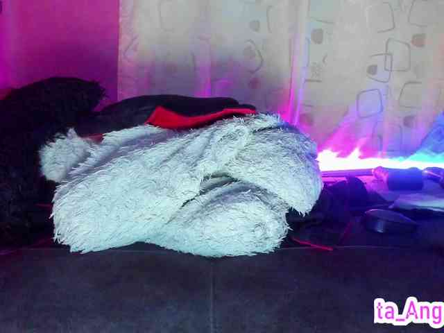 cata-anngel webcam