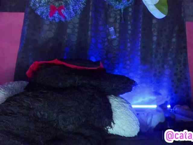 cata-anngel cata-anngel