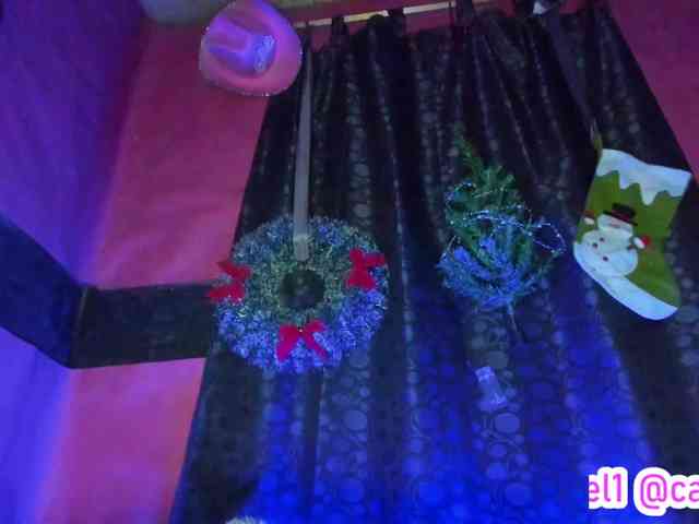 cata-anngel cata-anngel