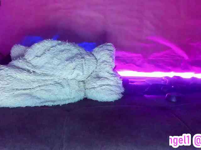 cata-anngel webcam