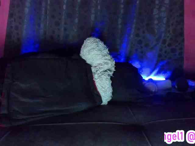 cata-anngel cata-anngel