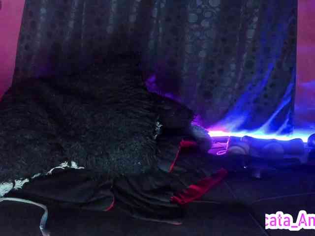 cata-anngel webcam