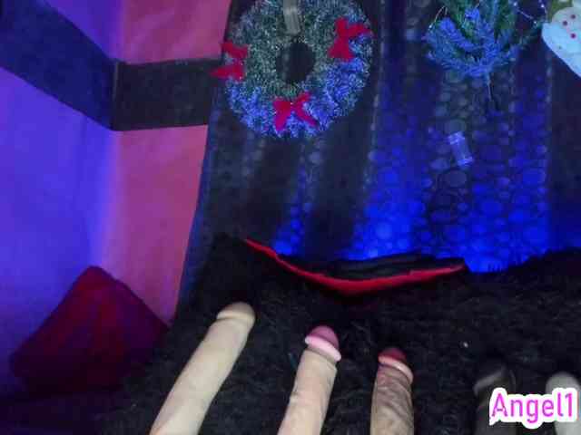 cata-anngel cata-anngel