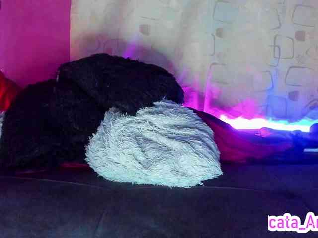 cata-anngel webcam