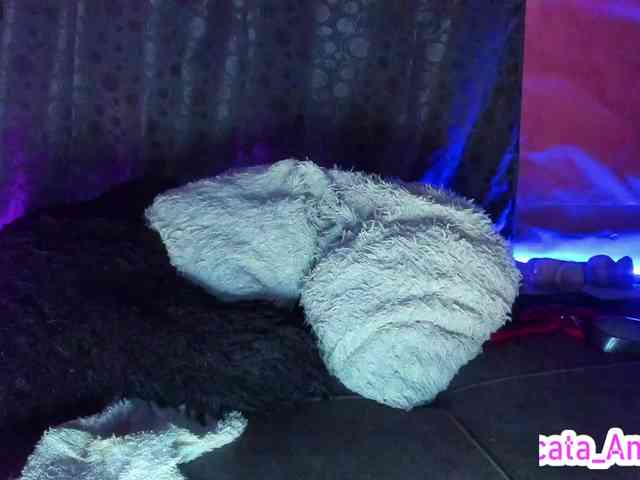 cata-anngel webcam