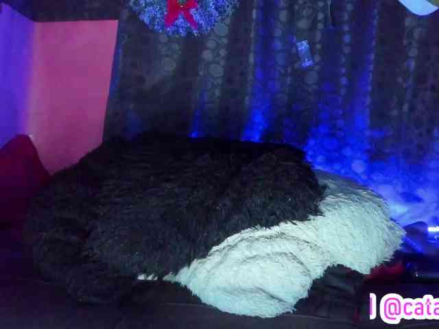 cata-anngel cata-anngel