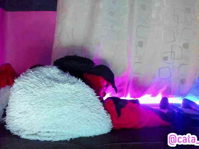 cata-anngel webcam