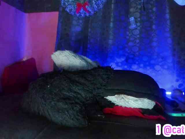 cata-anngel cata-anngel