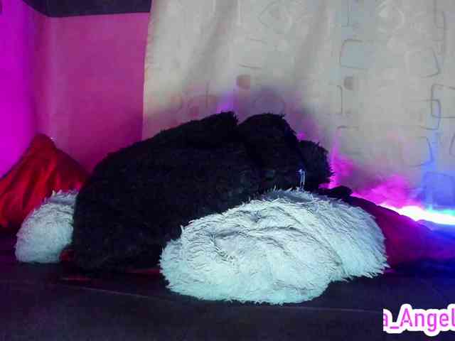 cata-anngel webcam