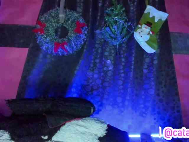 cata-anngel cata-anngel