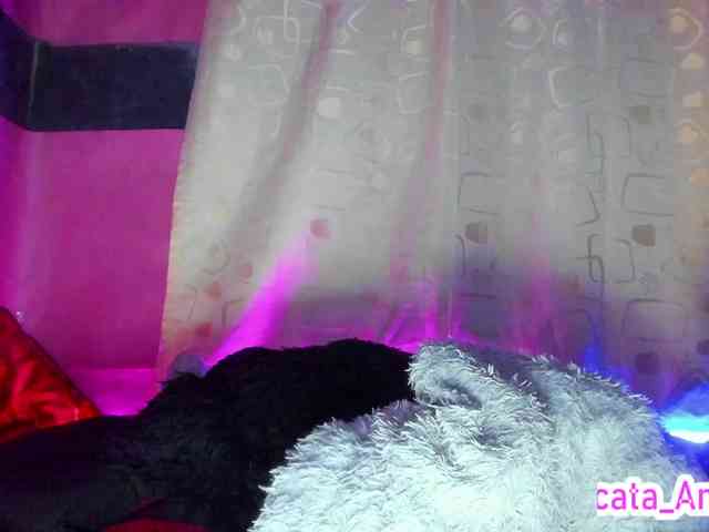 cata-anngel webcam