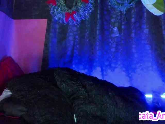 cata-anngel webcam