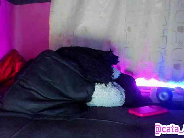 cata-anngel webcam