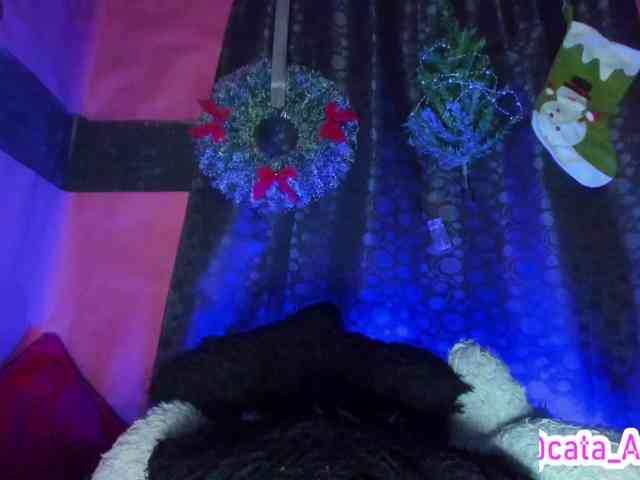 cata-anngel cata-anngel