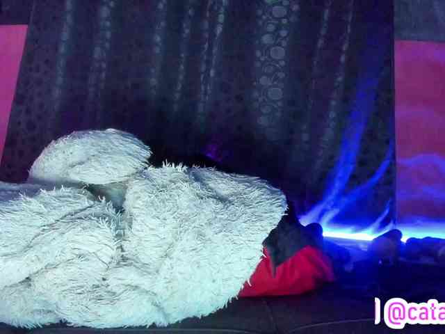 cata-anngel webcam