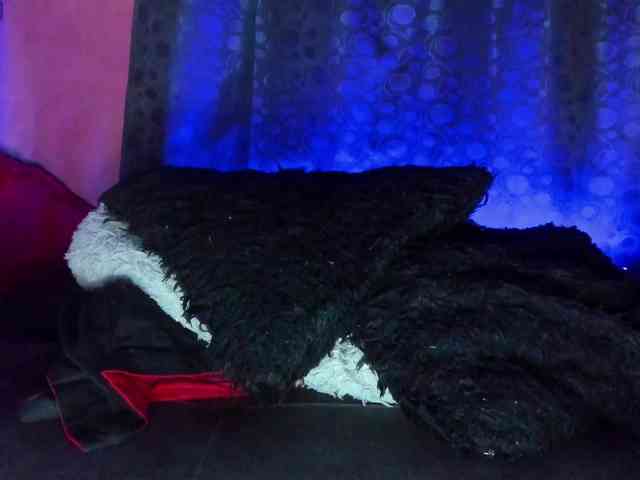 cata-anngel cata-anngel