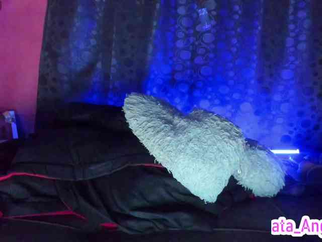 cata-anngel cata-anngel