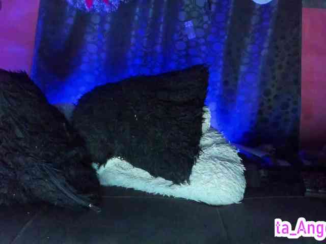 cata-anngel cata-anngel