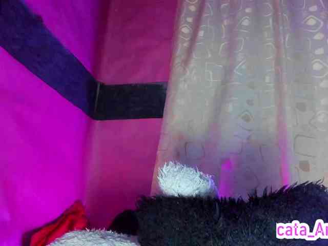 cata-anngel webcam