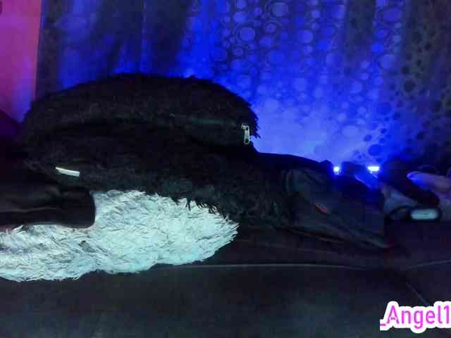 cata-anngel cata-anngel