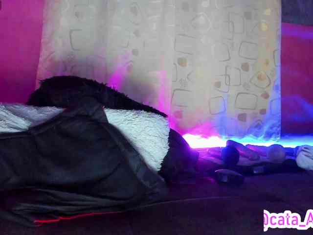 cata-anngel webcam