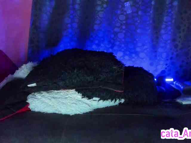 cata-anngel webcam