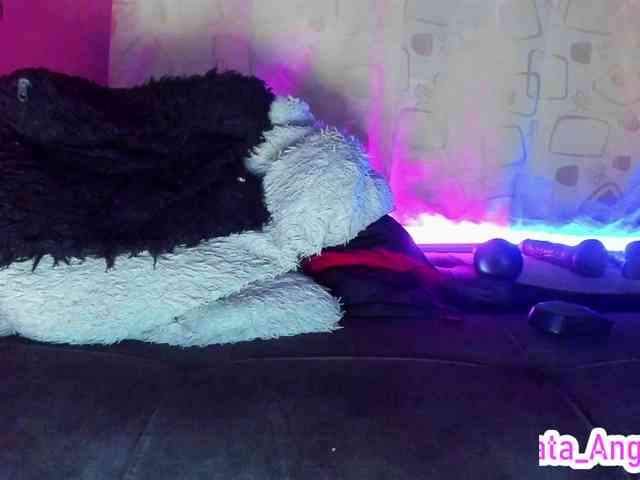 cata-anngel webcam