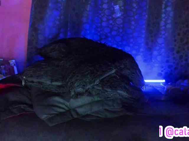 cata-anngel cata-anngel