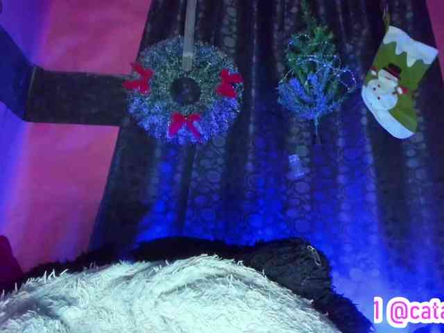 cata-anngel cata-anngel