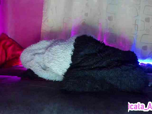cata-anngel webcam