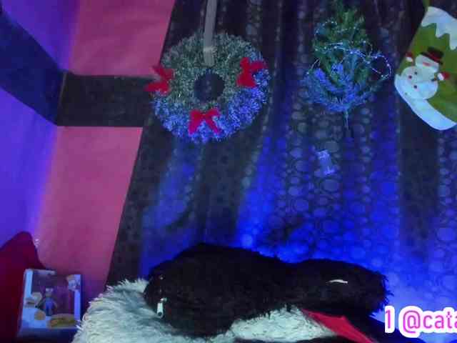 cata-anngel cata-anngel