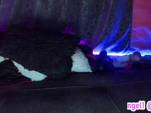 cata-anngel webcam