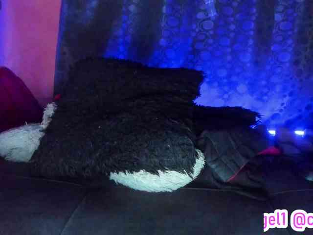 cata-anngel cata-anngel