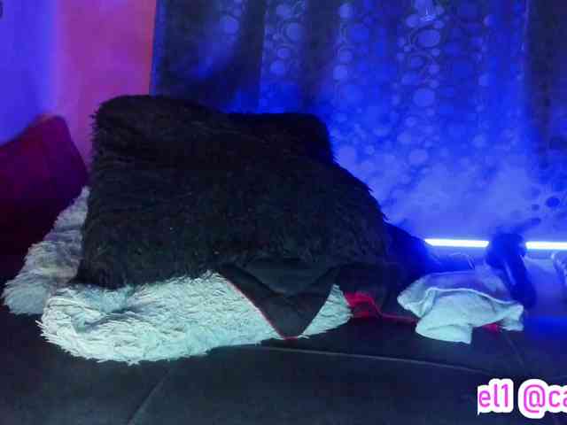 cata-anngel cata-anngel