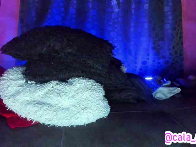 cata-anngel cata-anngel